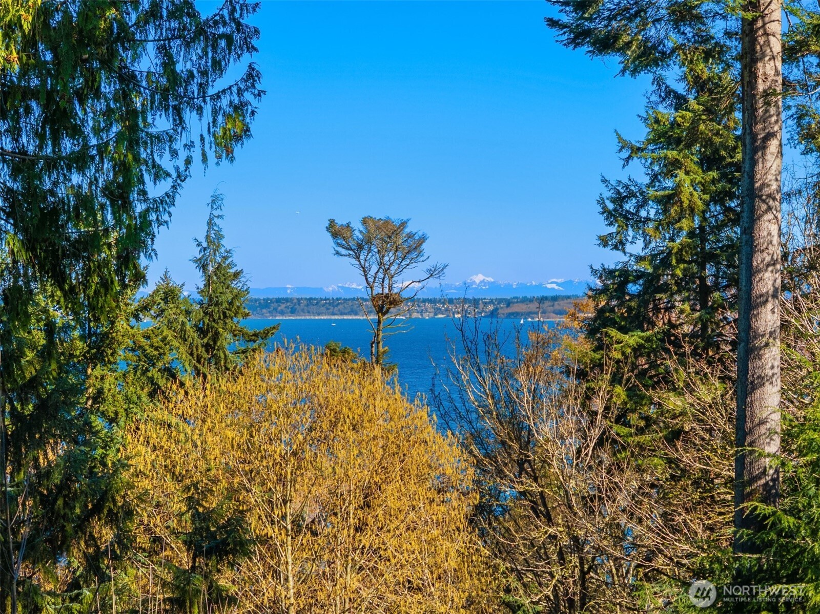 10700 NE Broomgerrie Road