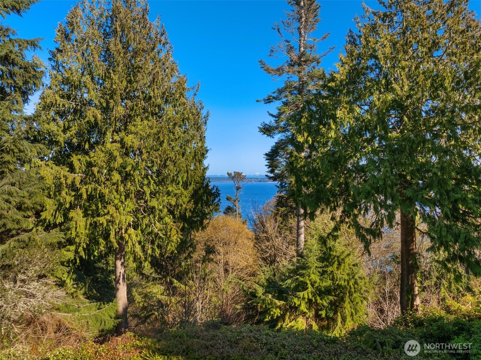 10700 NE Broomgerrie Road