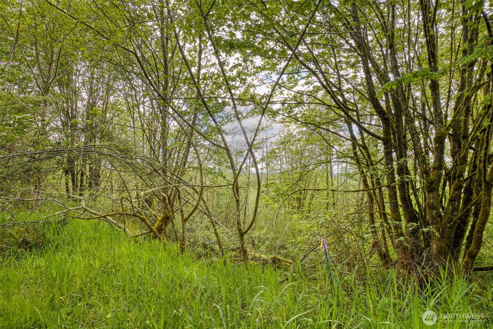 0 Elkhorn Lane