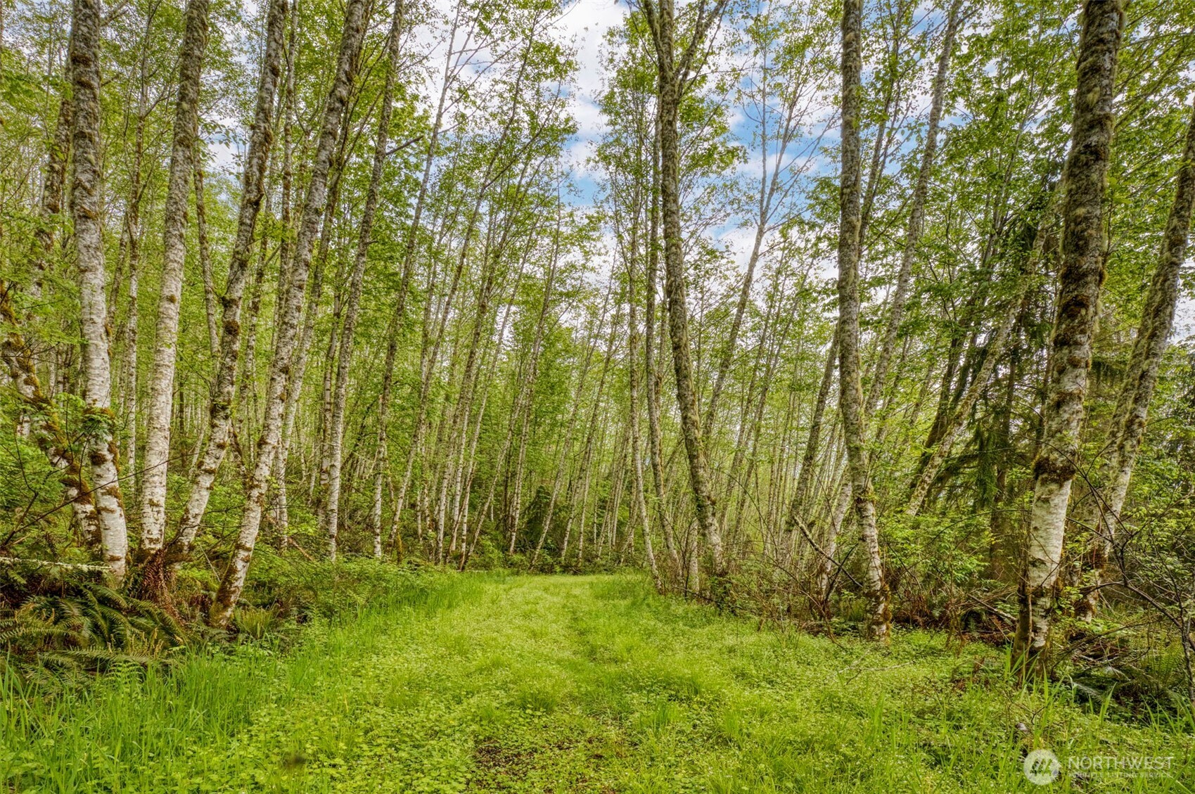 0 Elkhorn Lane