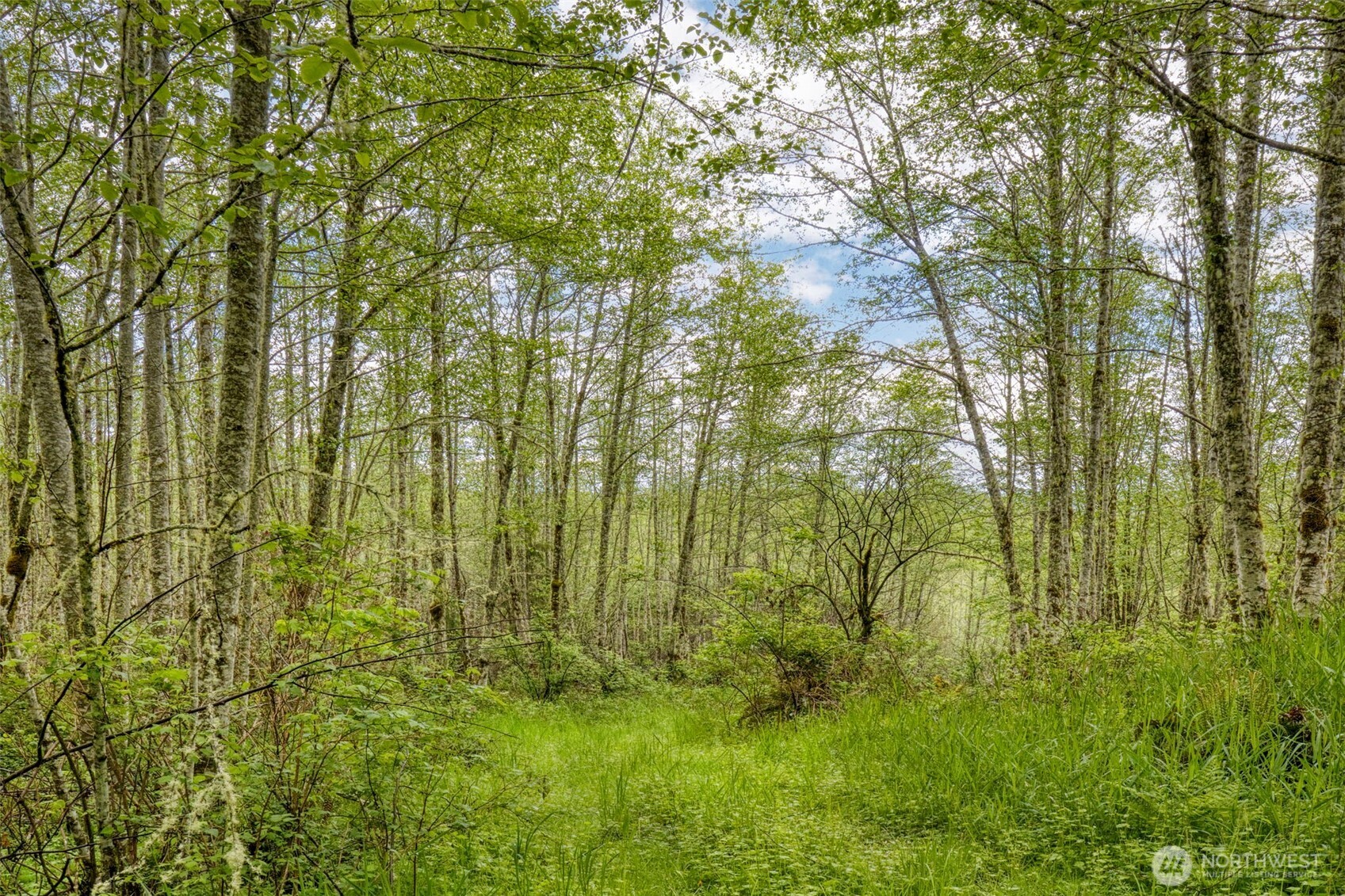 0 Elkhorn Lane