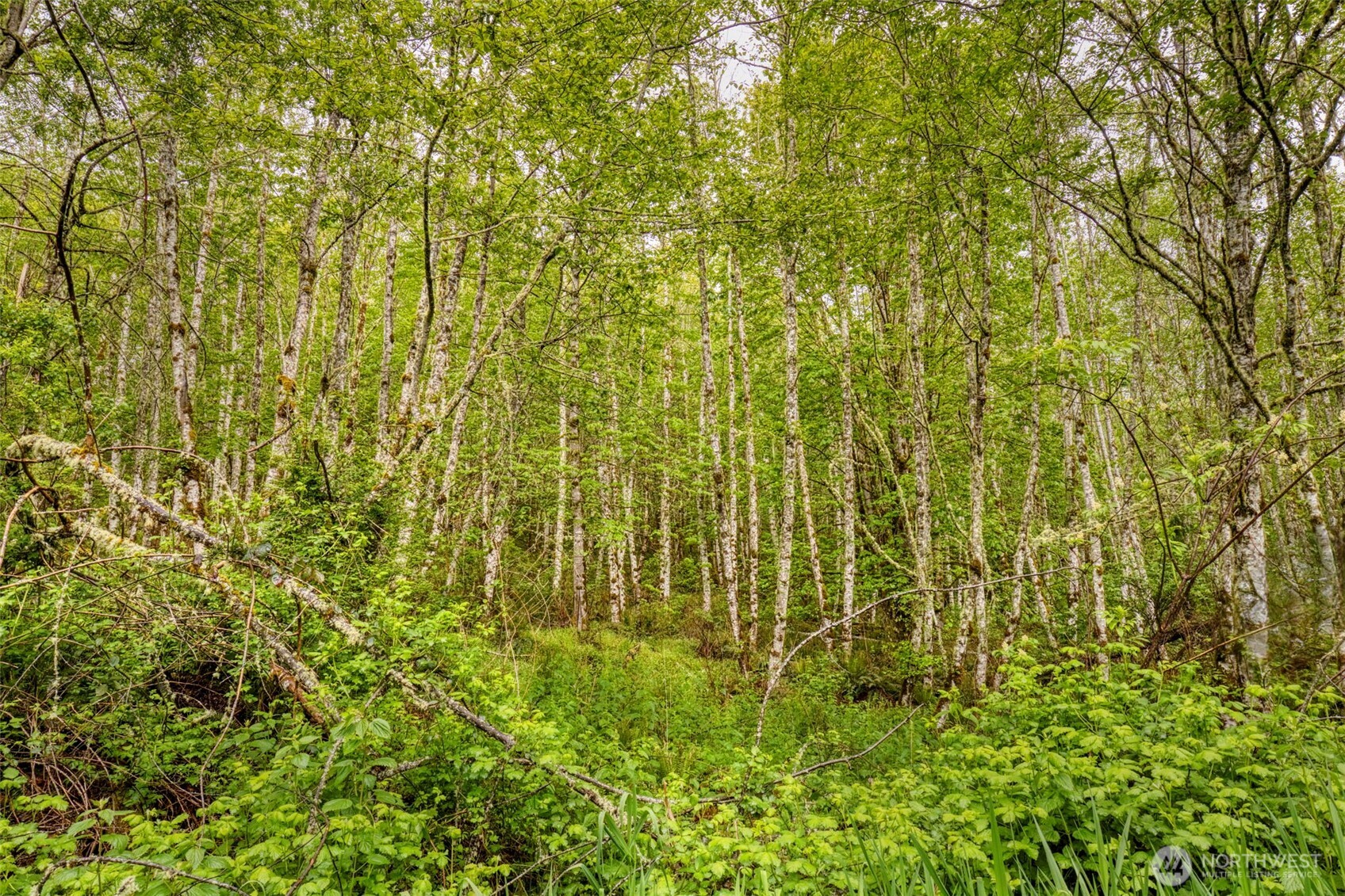 0 Elkhorn Lane