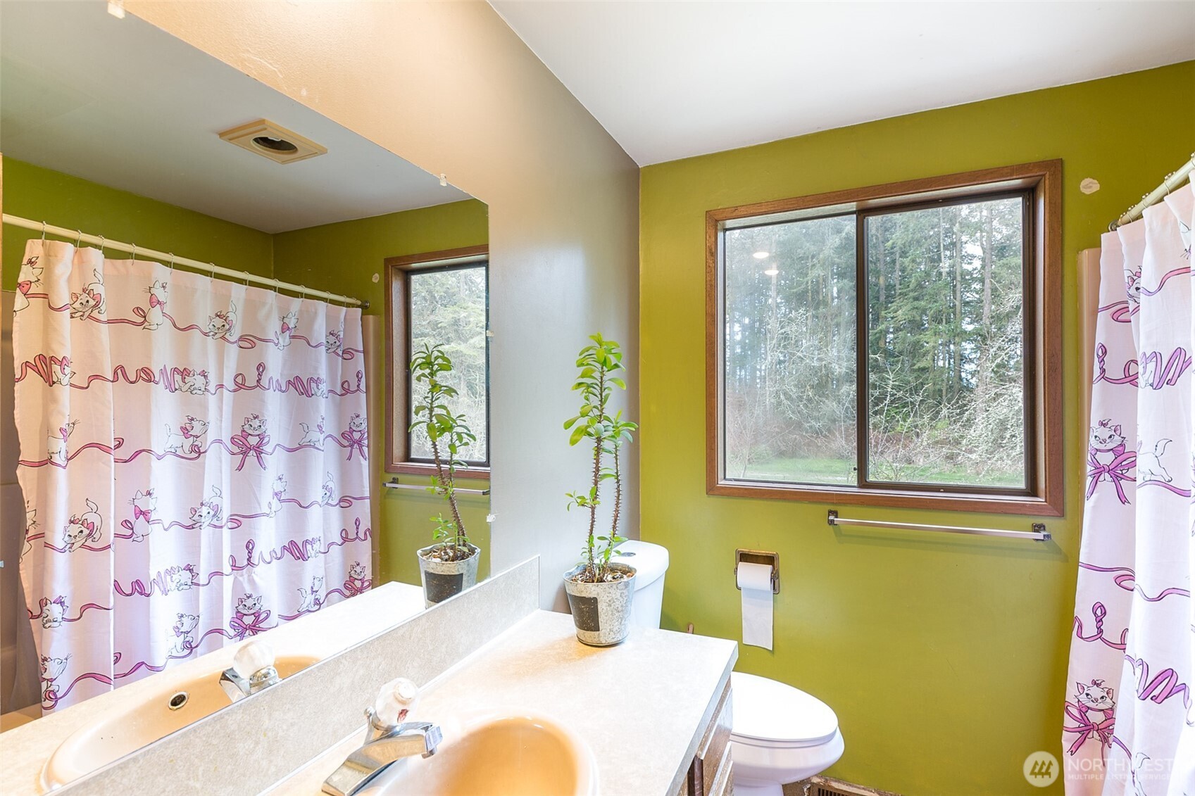 314 Stellar Ridge Lane