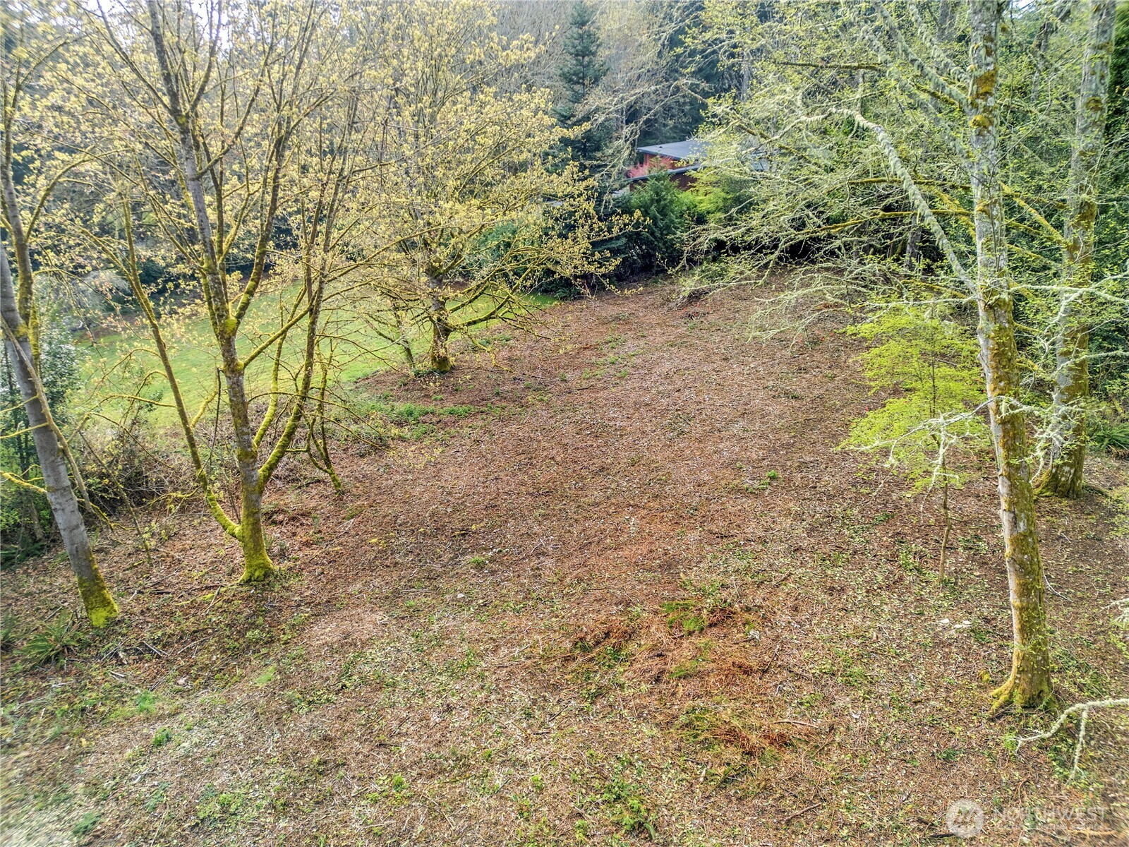 9811 NE Rose Trail Lane