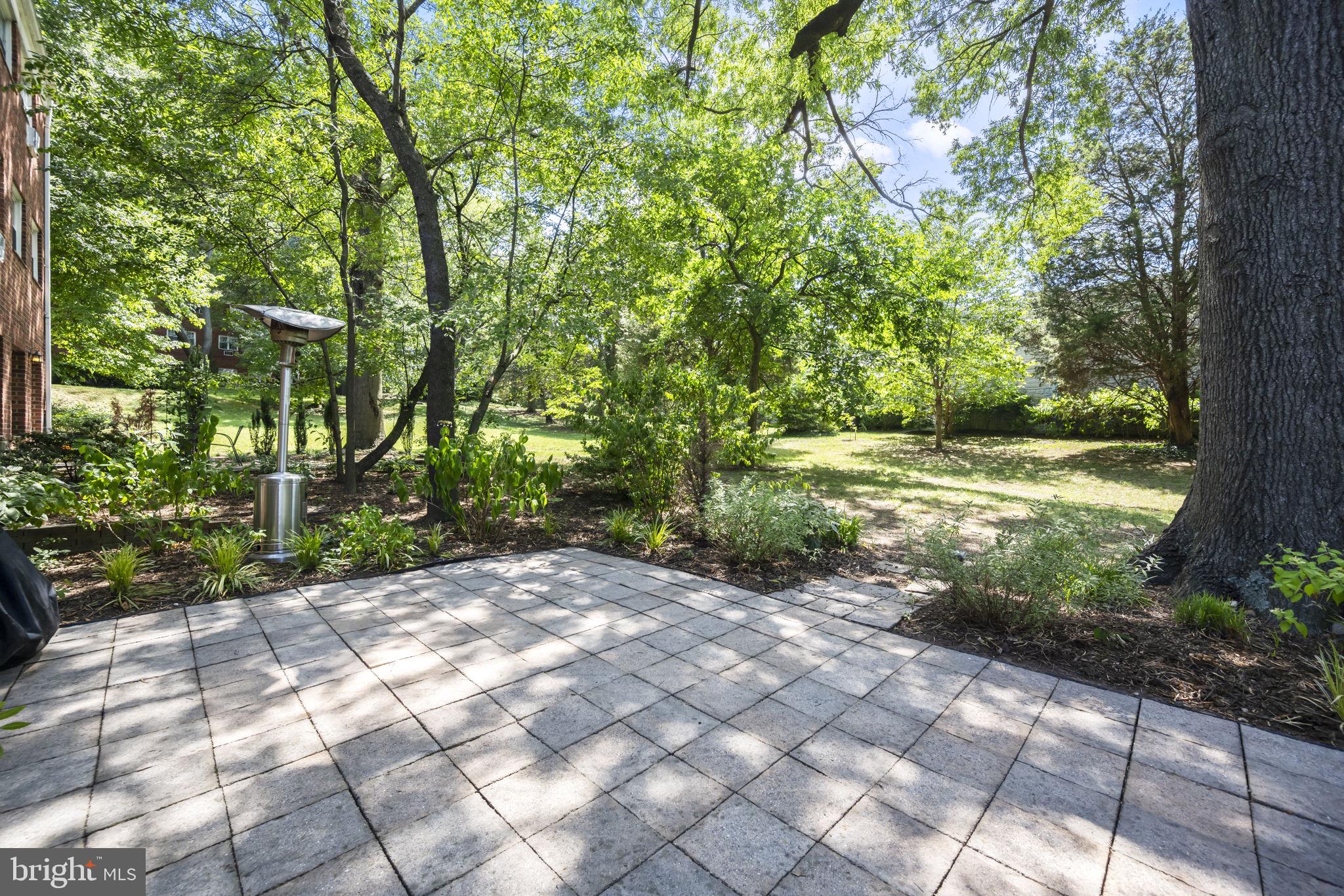 3580 Martha Custis Dr