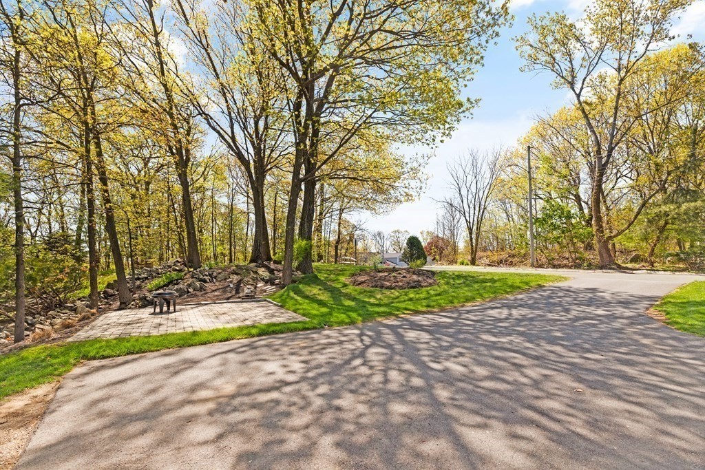 Paved driveway beside a wooded lot with a small patio and mature trees.