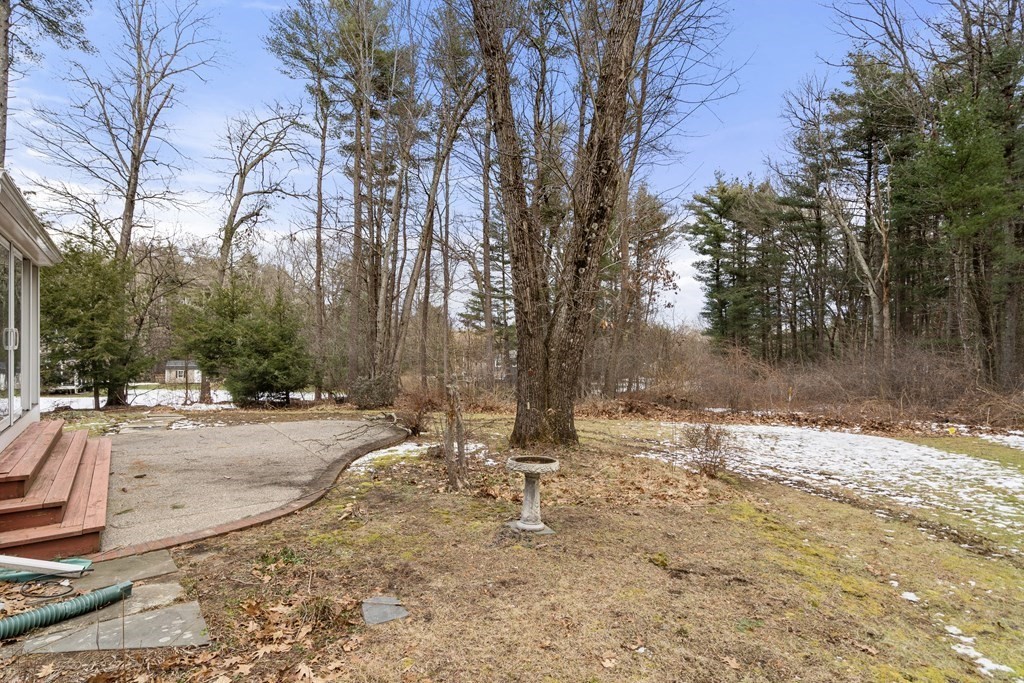 Backyard with a curved patio, birdbath, mature trees, and patches of snow.