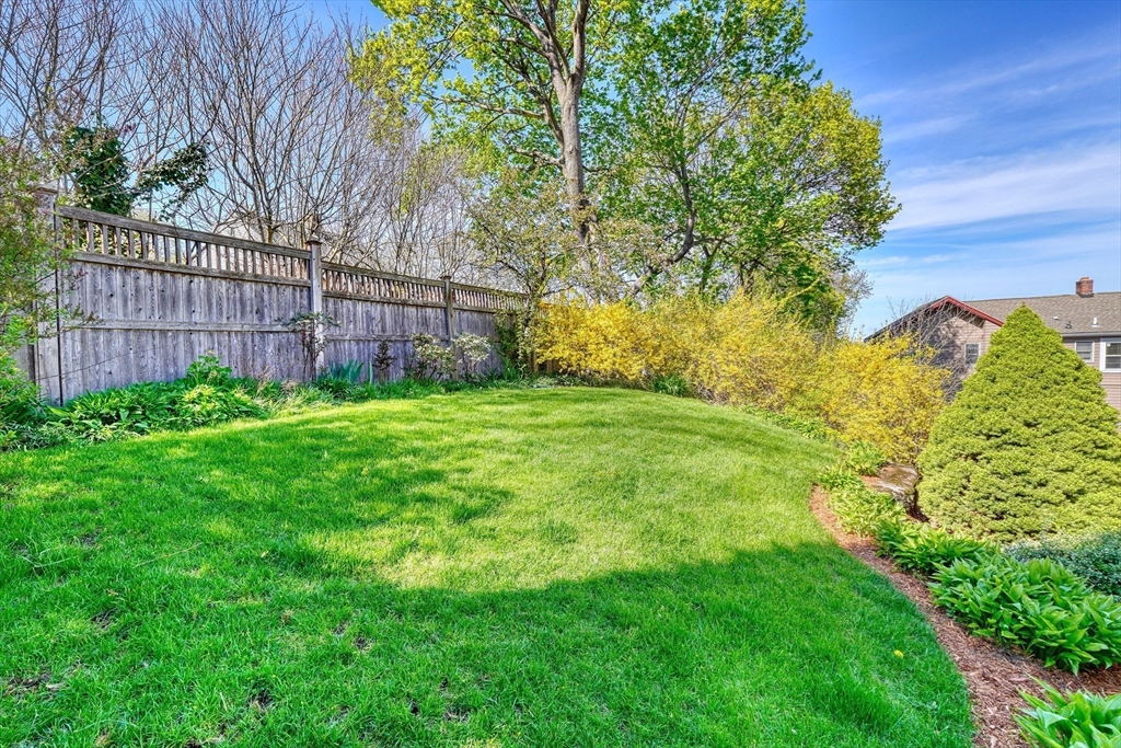 Backyard lawn bordered by a wooden fence, mature trees, and yellow flowering shrubs.