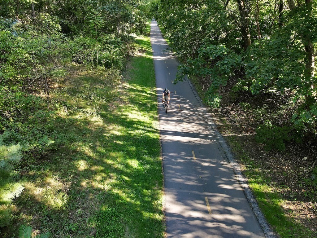 A cyclist rides along a paved trail shaded by dense green trees.