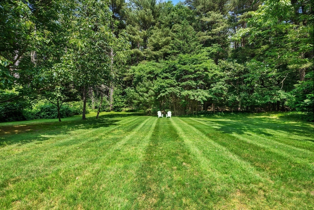 Spacious green backyard lawn bordered by mature trees, with two white chairs near the center.