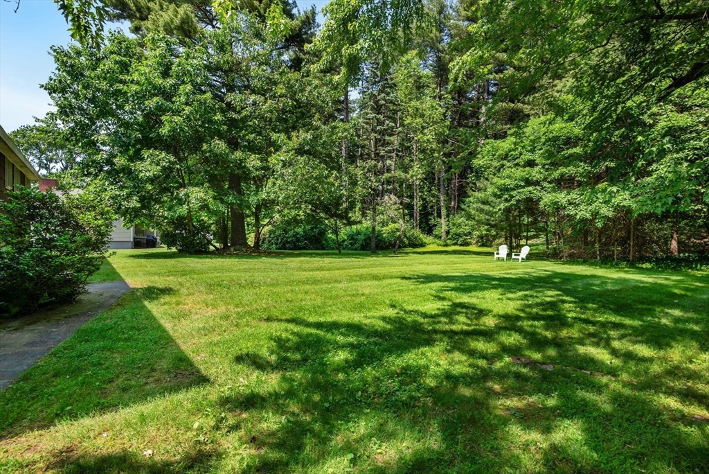 Spacious lawn bordered by mature trees, with two white chairs near the wooded edge.