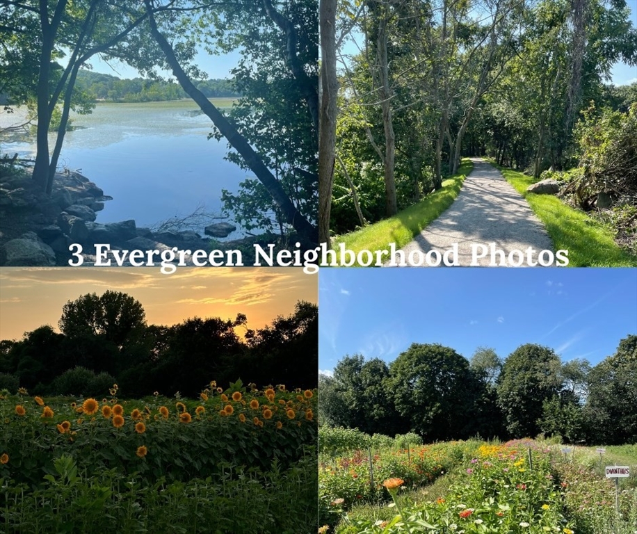 Neighborhood collage of a wooded lakeshore, tree-lined path, sunflower field, and flower garden.
