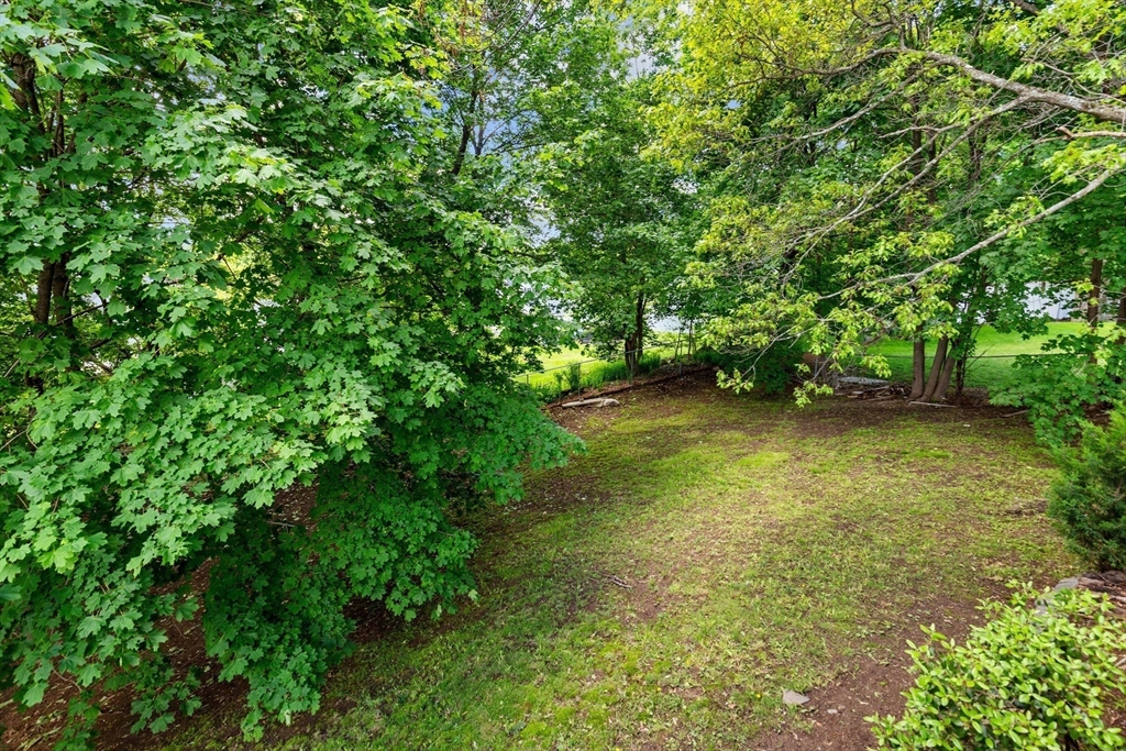 Backyard with mature trees, a patchy lawn, and a fence along the far edge.