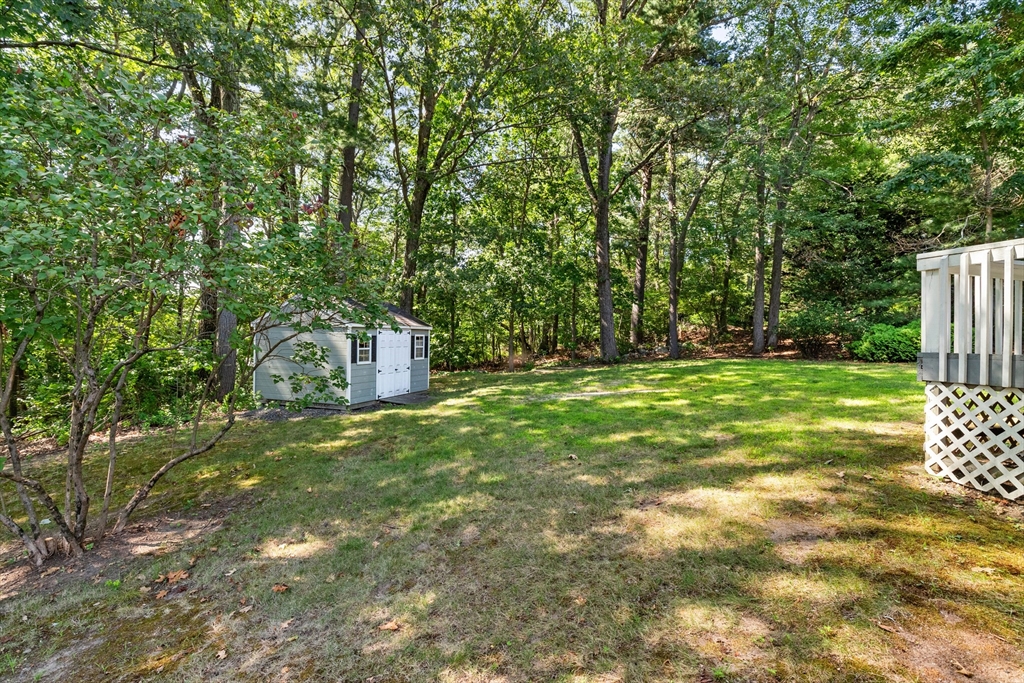 16 Paulson Drive