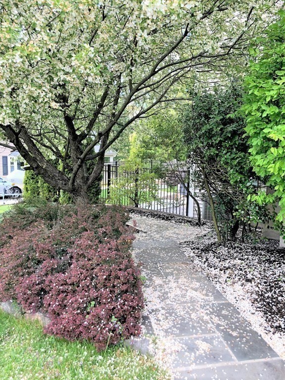 38 Beaverbrook Road # 1