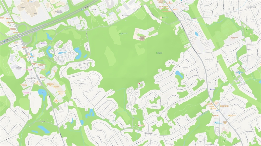 5 Vine Brook Way # 5