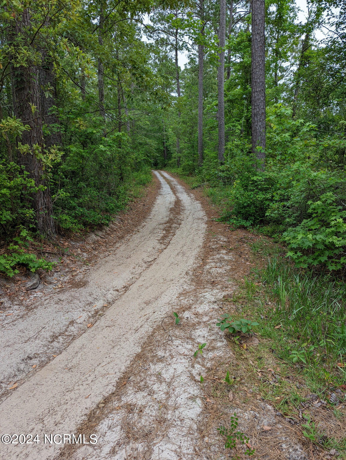 Lot 13 13 Equine Acres State 210 Highway