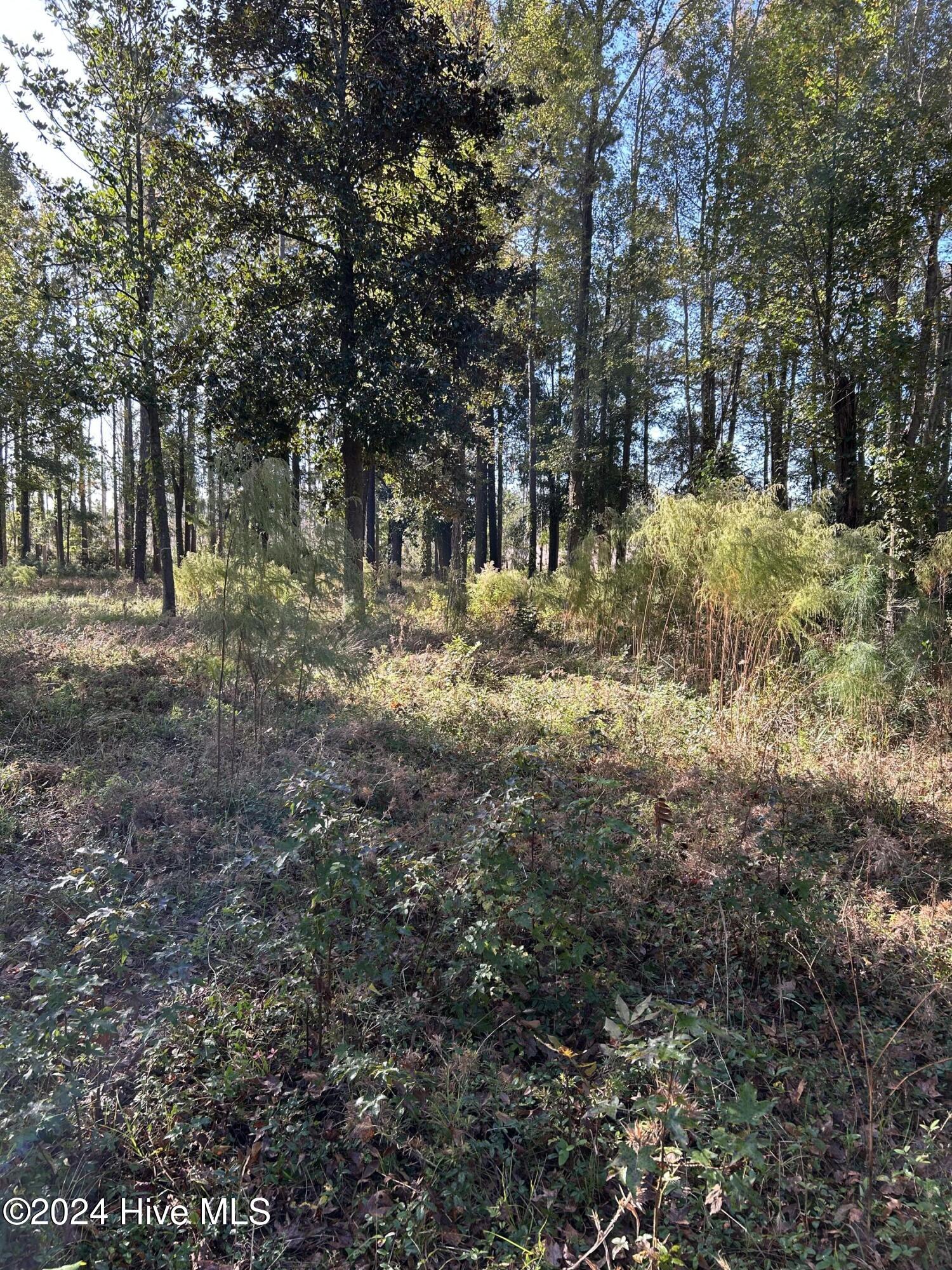 312 115 Preservation Point Avenue