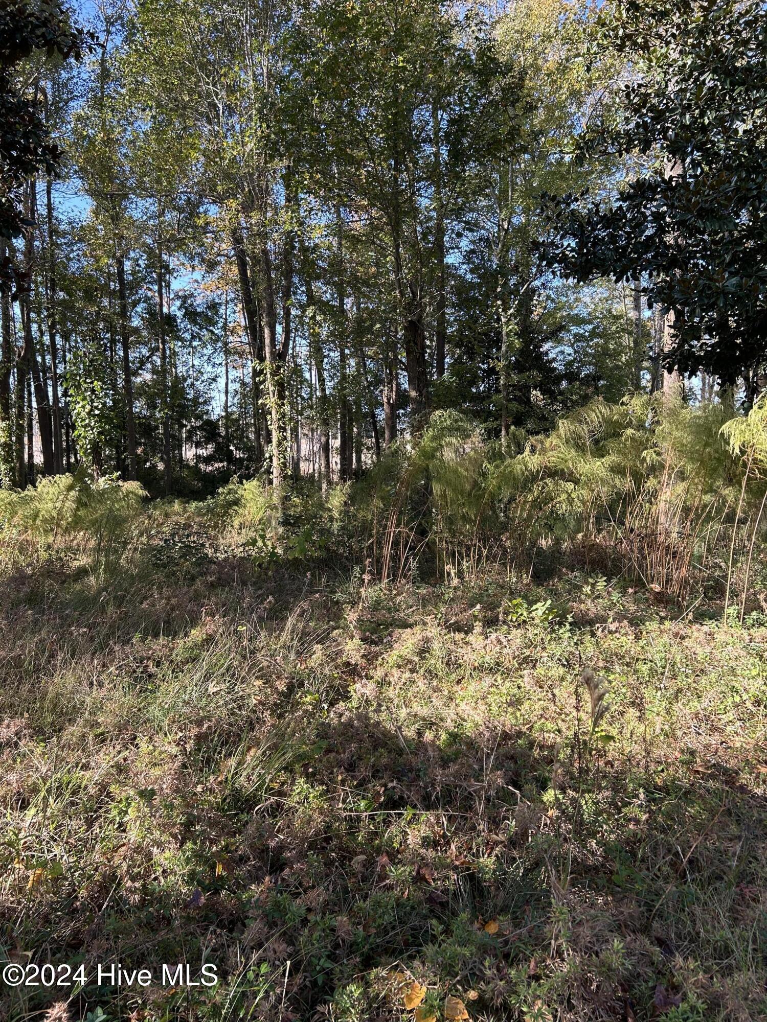 312 115 Preservation Point Avenue