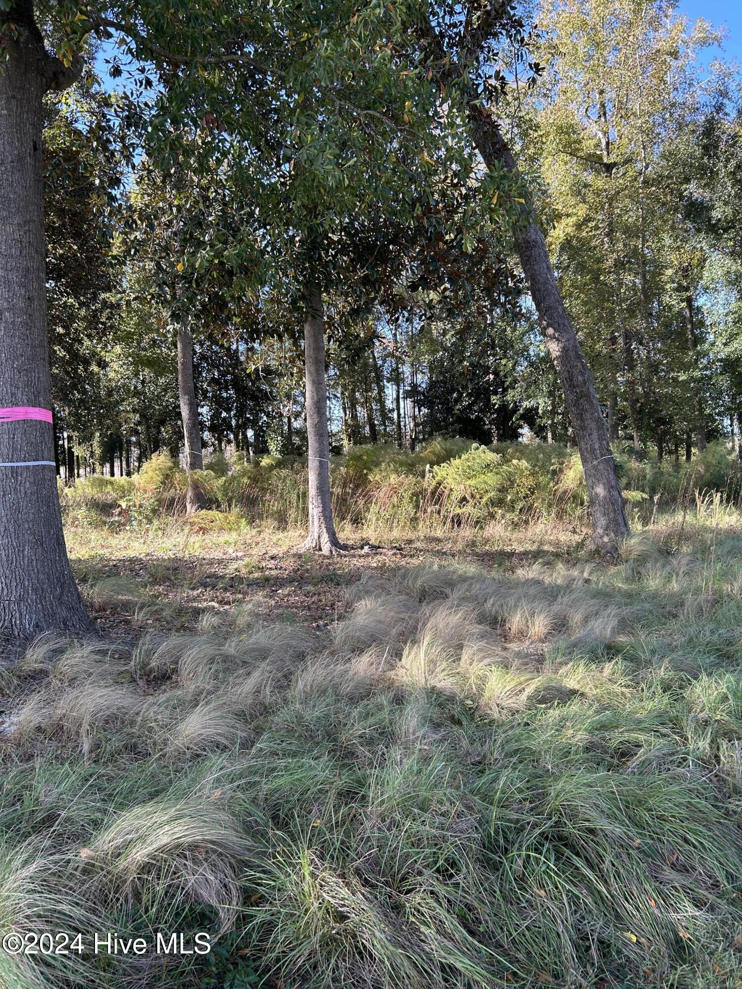 312 115 Preservation Point Avenue