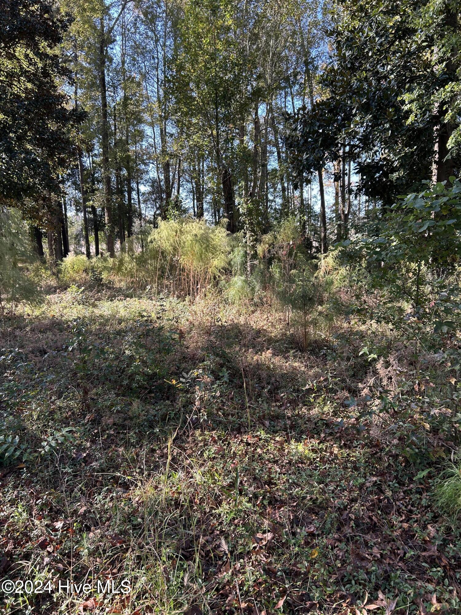 312 115 Preservation Point Avenue