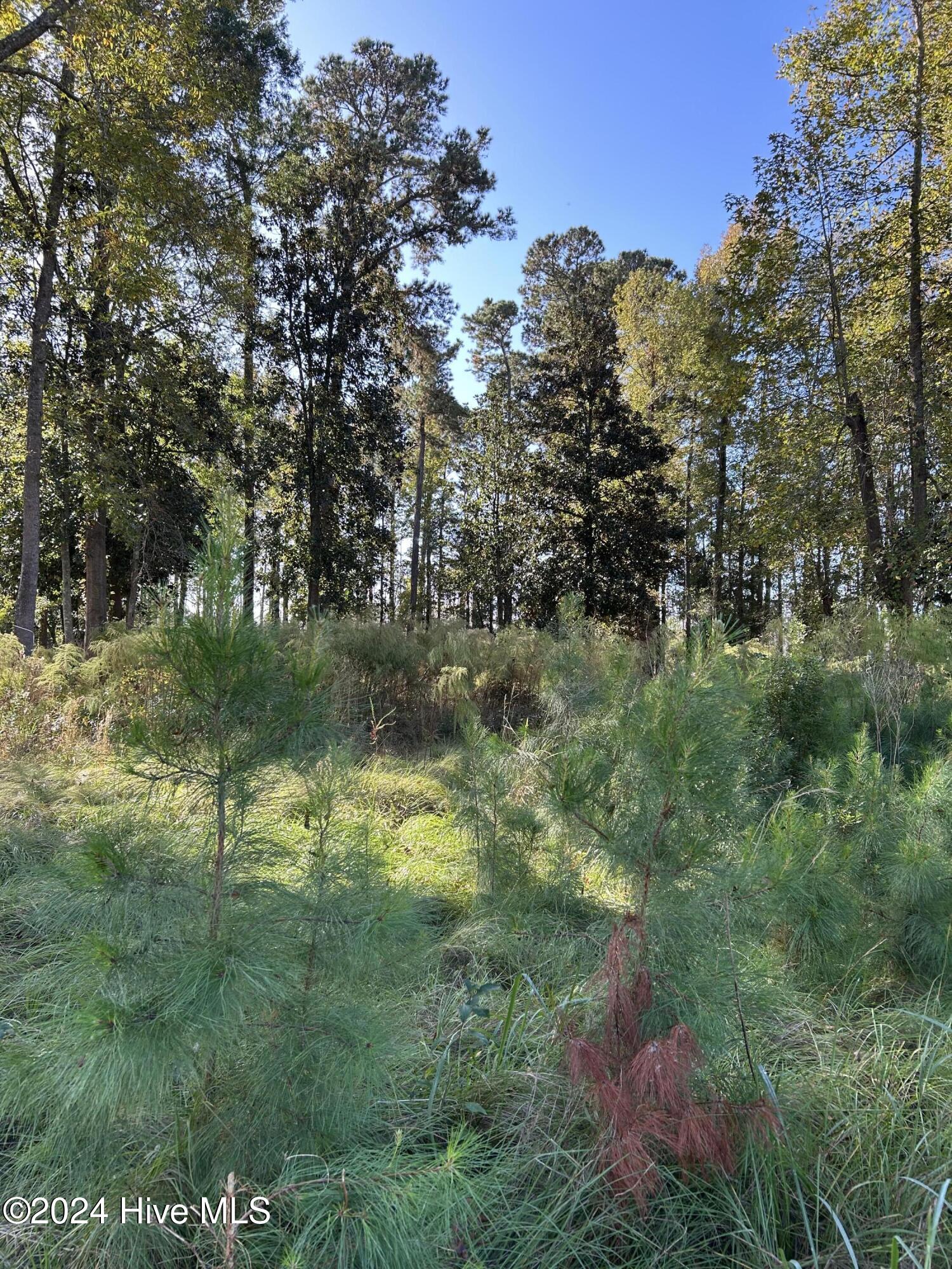 312 115 Preservation Point Avenue