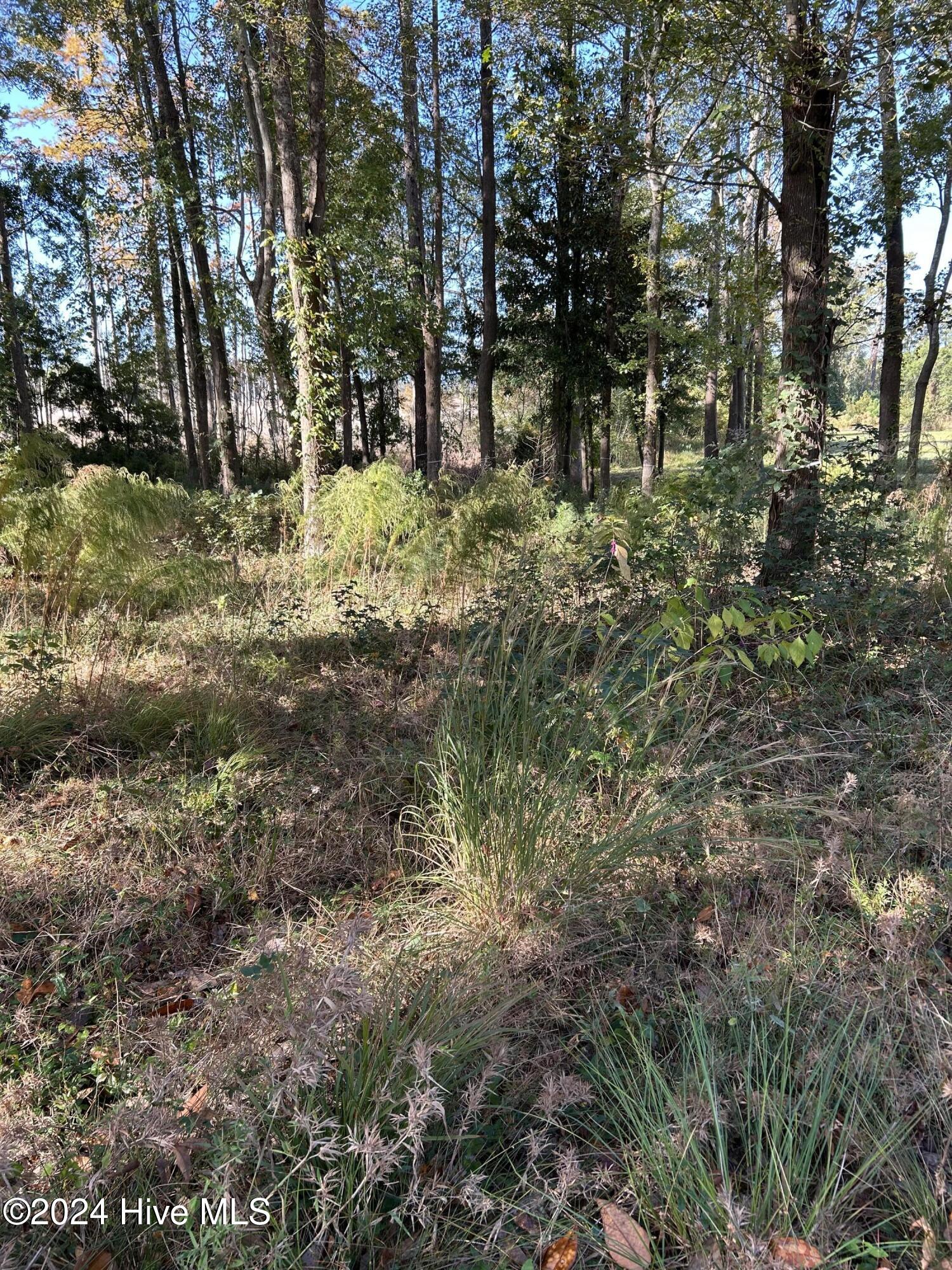 312 115 Preservation Point Avenue