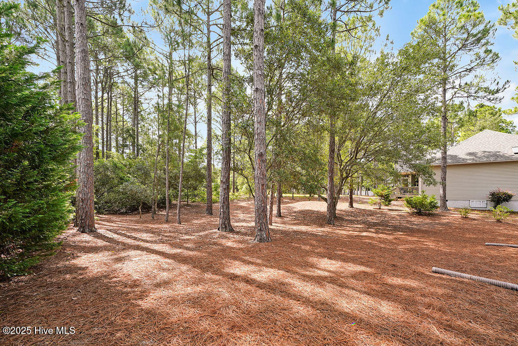 3853 Winding Vine Way