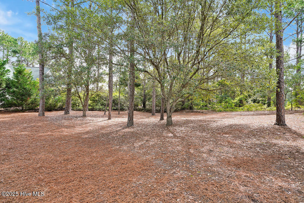 3853 Winding Vine Way