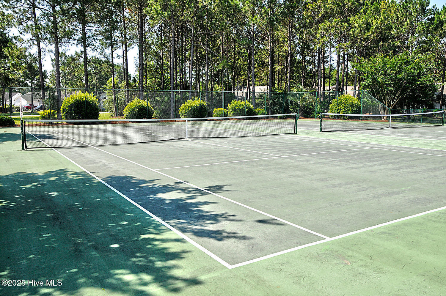 3853 Winding Vine Way