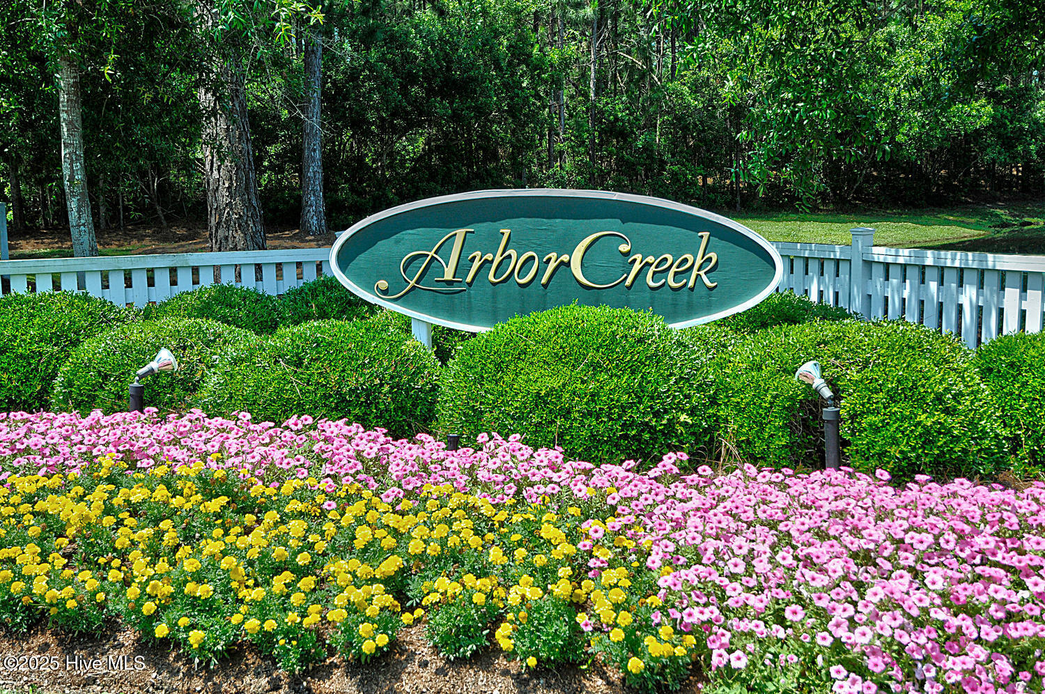 3853 Winding Vine Way