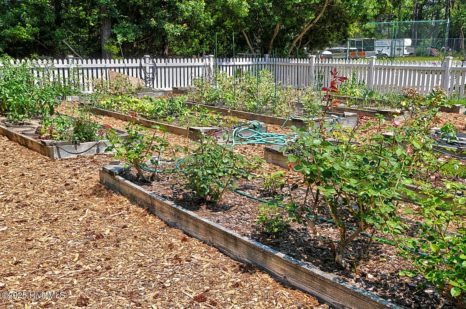 3853 Winding Vine Way