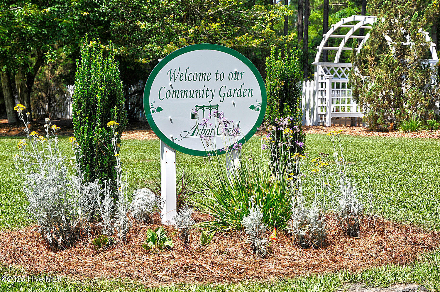 3853 Winding Vine Way