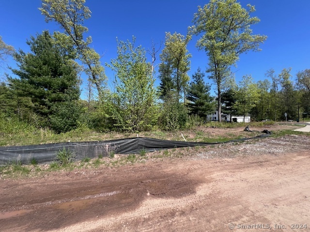 24 Cranberry Lane