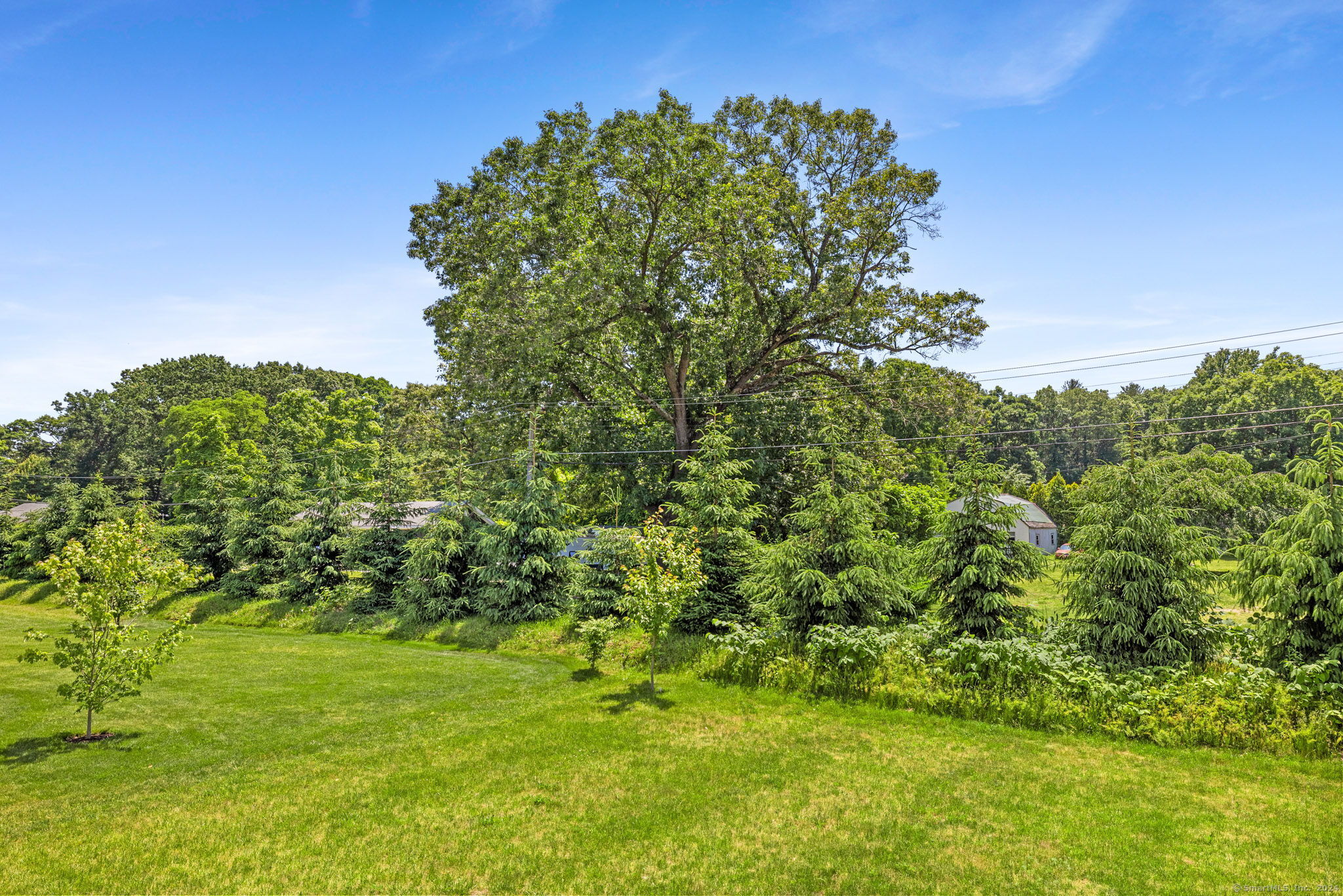 8 West River Road