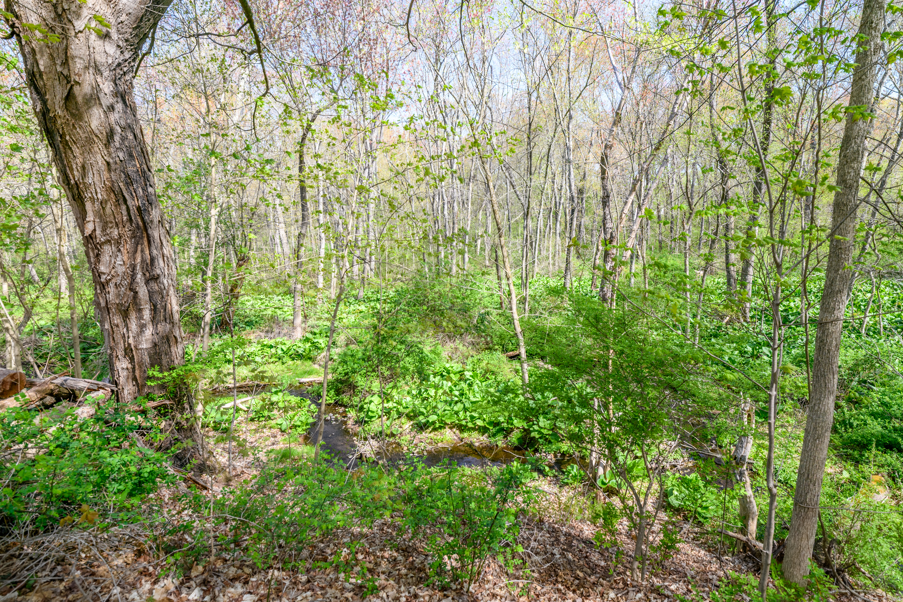 416 Oakland Road