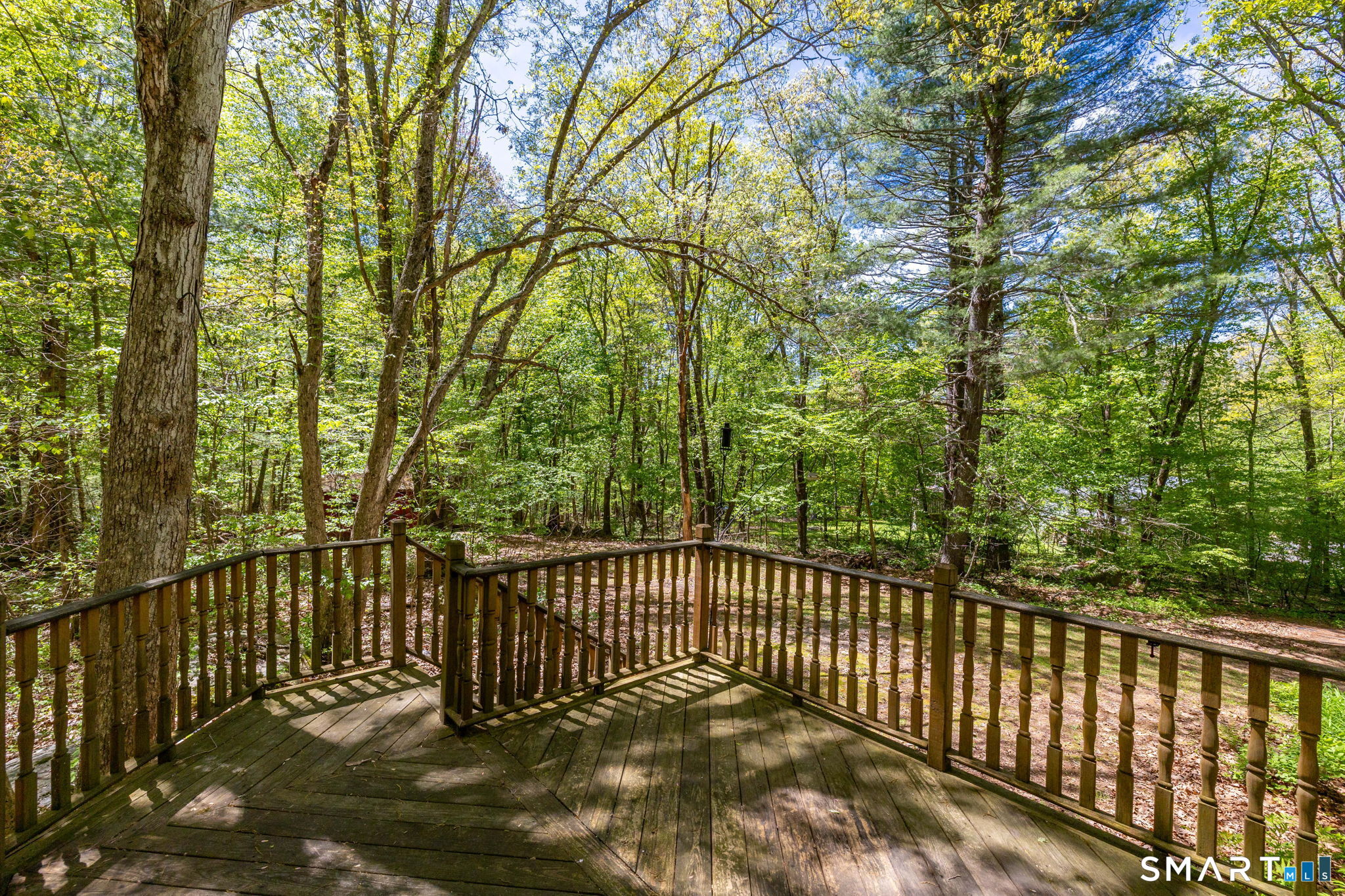 515 Buff Cap Road