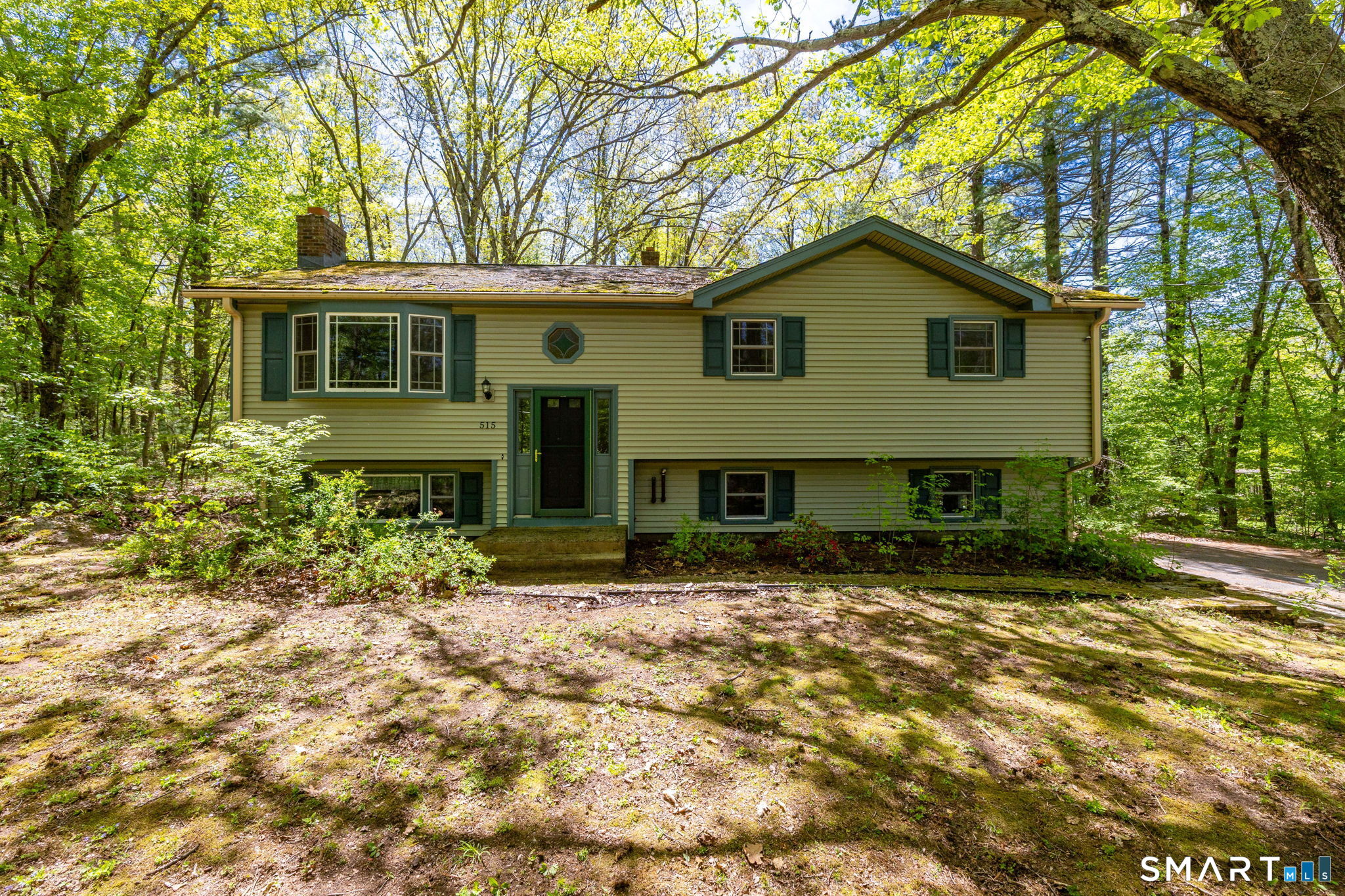 515 Buff Cap Road