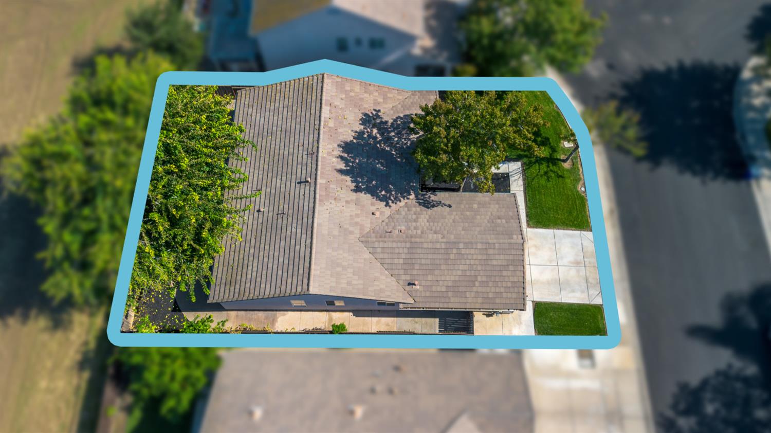 1205 Swan Drive