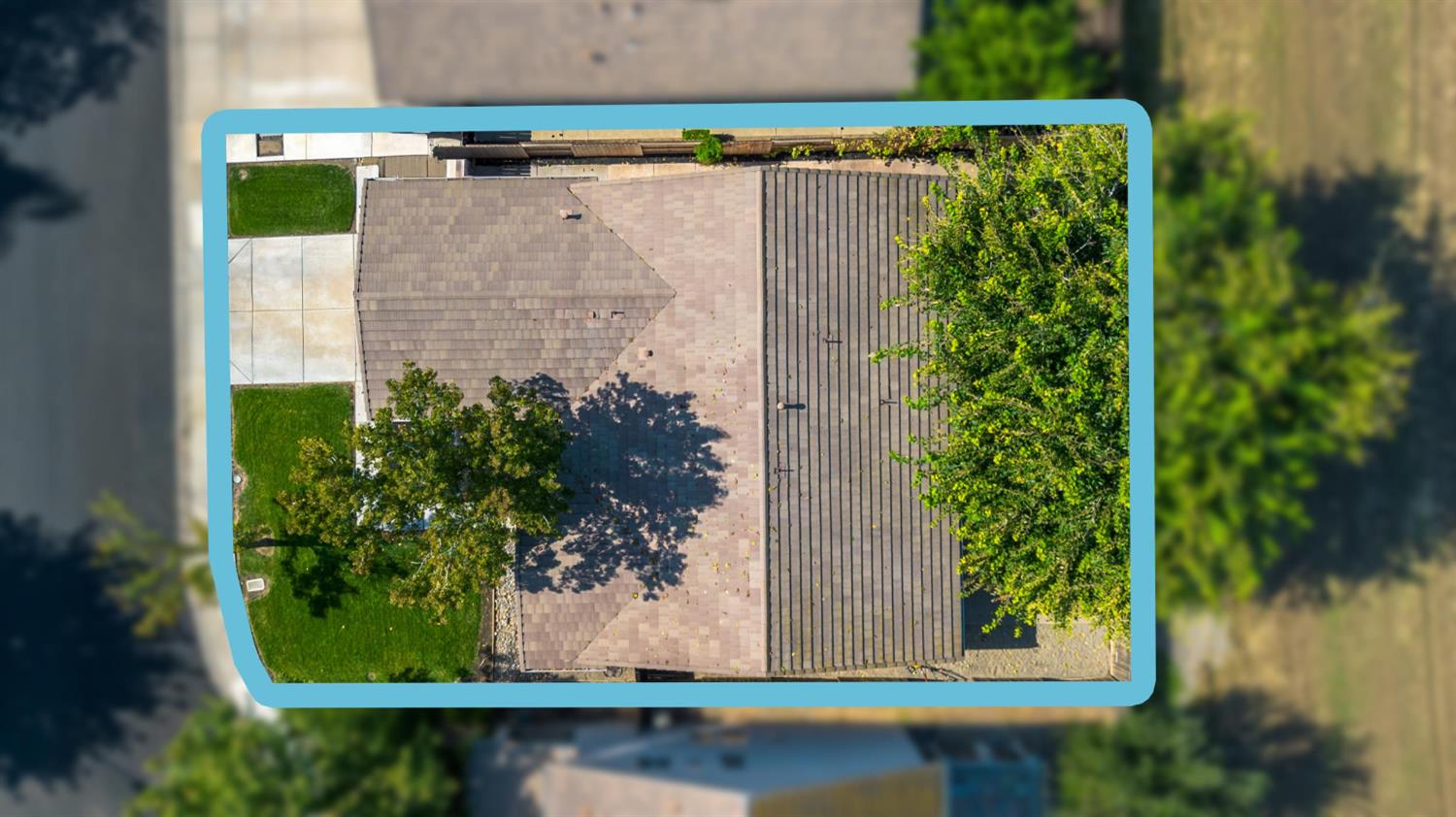 1205 Swan Drive