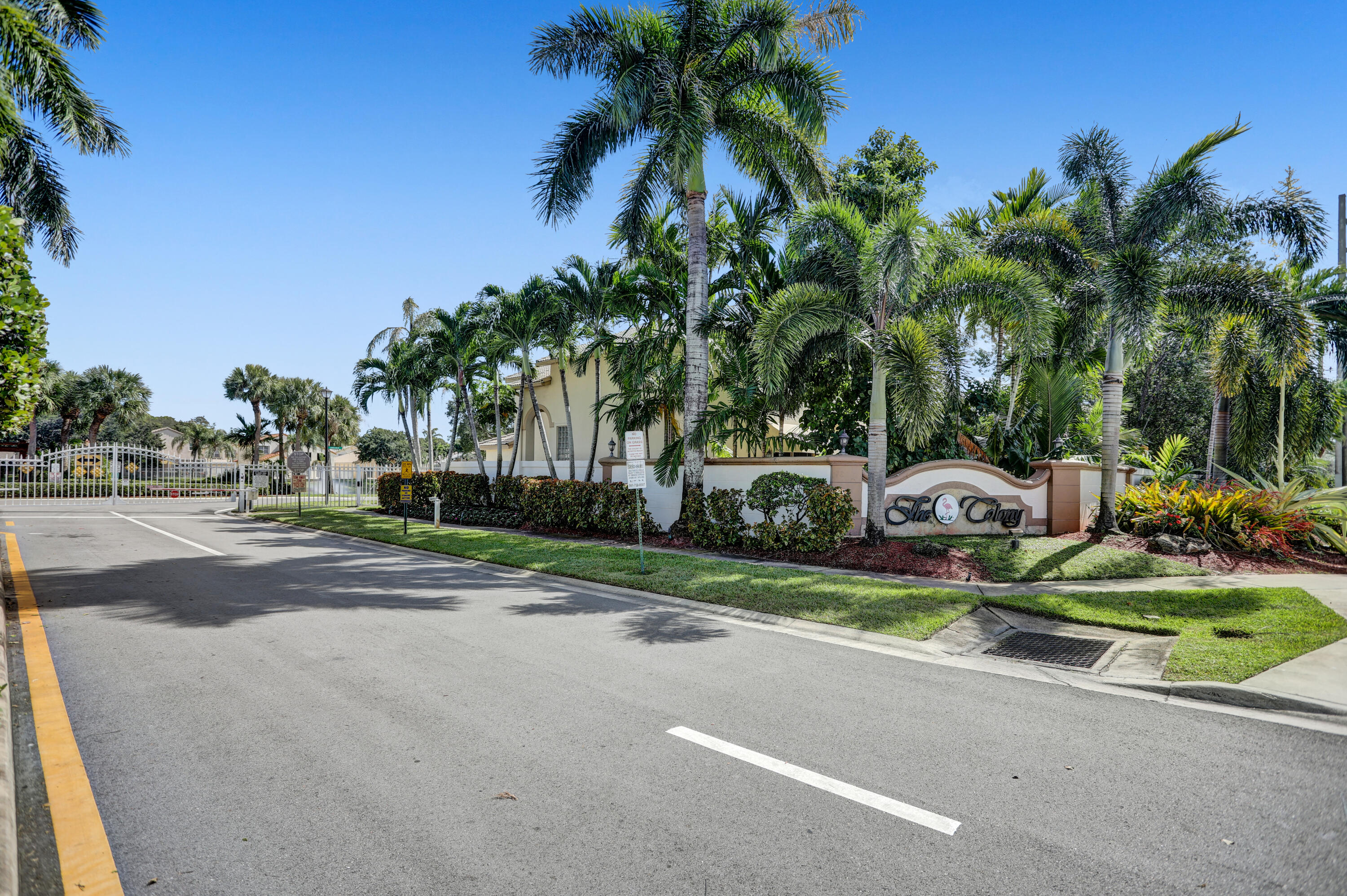 7501 Colony Palm Drive