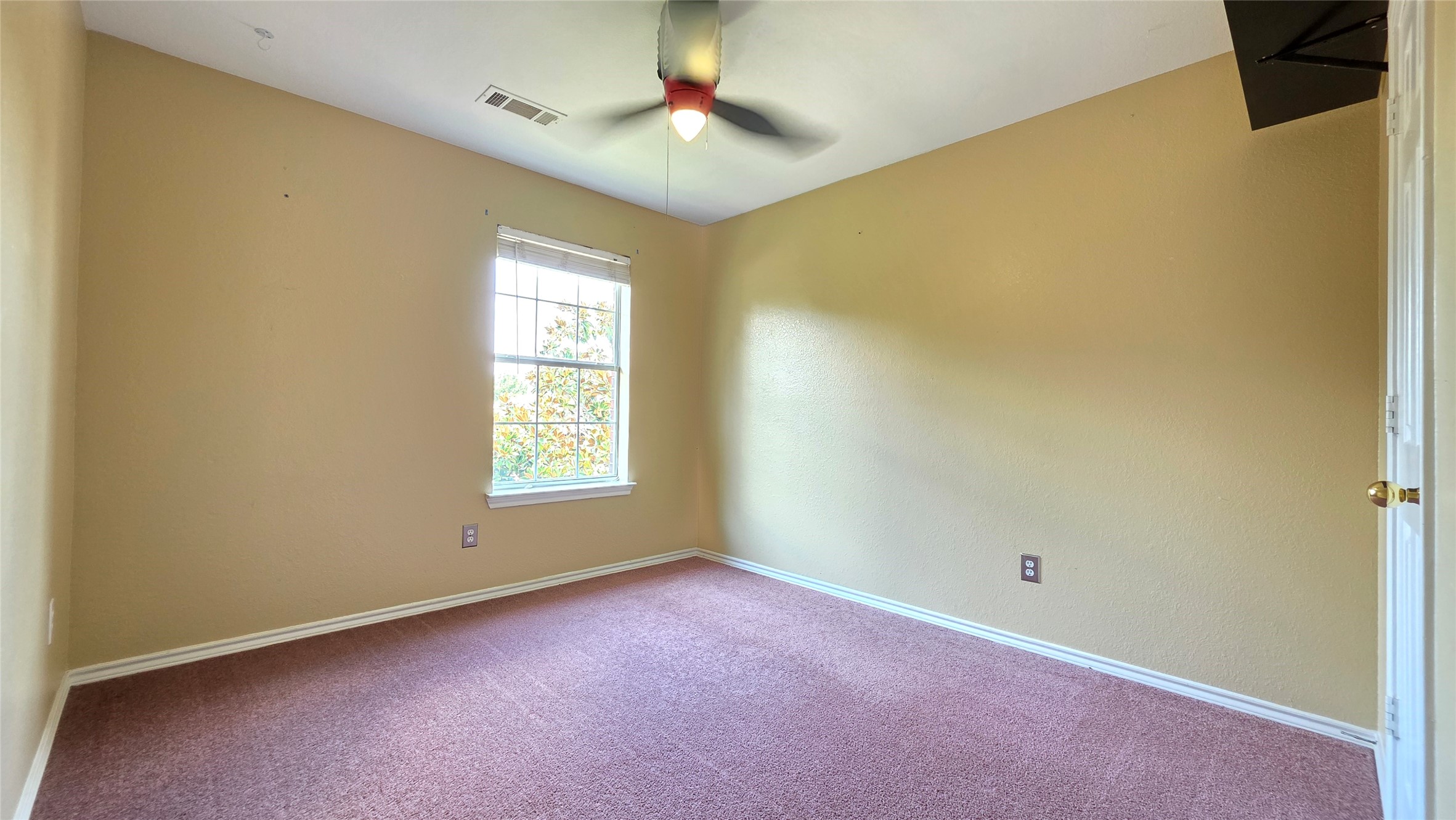 1120 Hampton Drive
