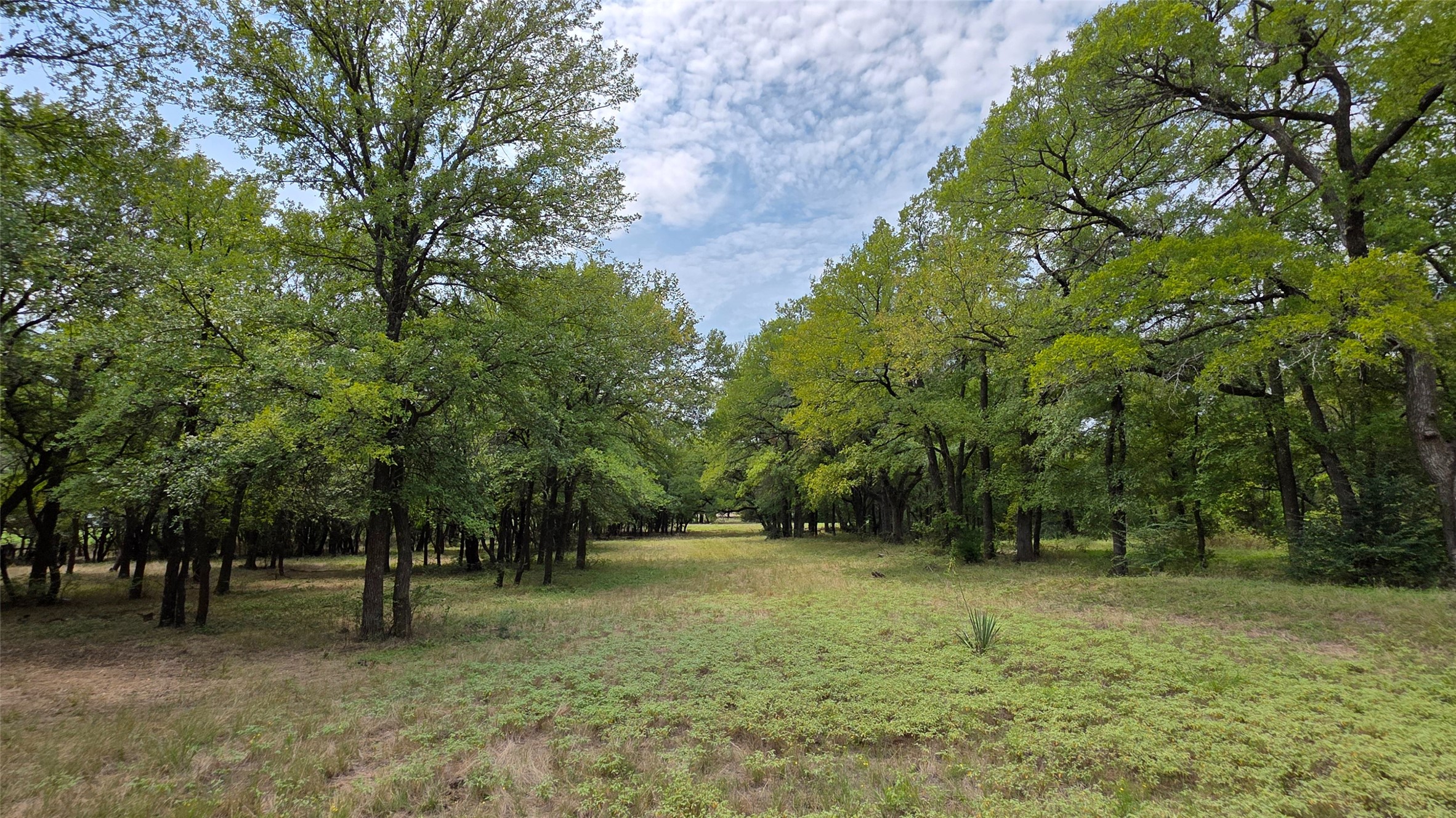 715 Barbara Lane Lot 5A & 5D
