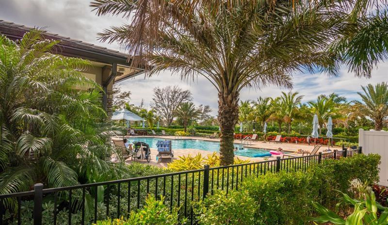 Outdoor pool framed by palm trees, tropical landscaping, and a black metal fence.