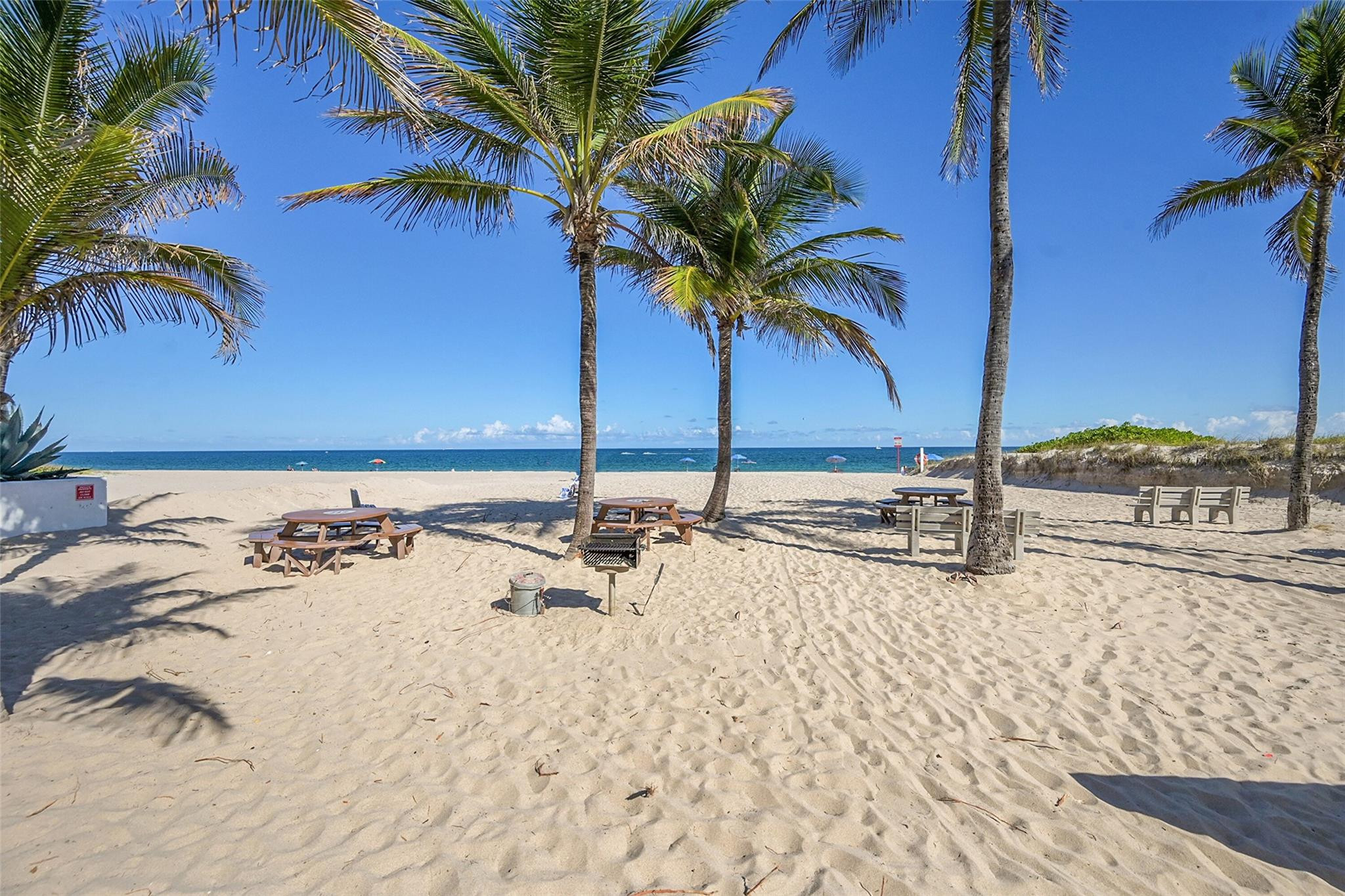 Sandy beach with palm trees and picnic tables overlooking the ocean.