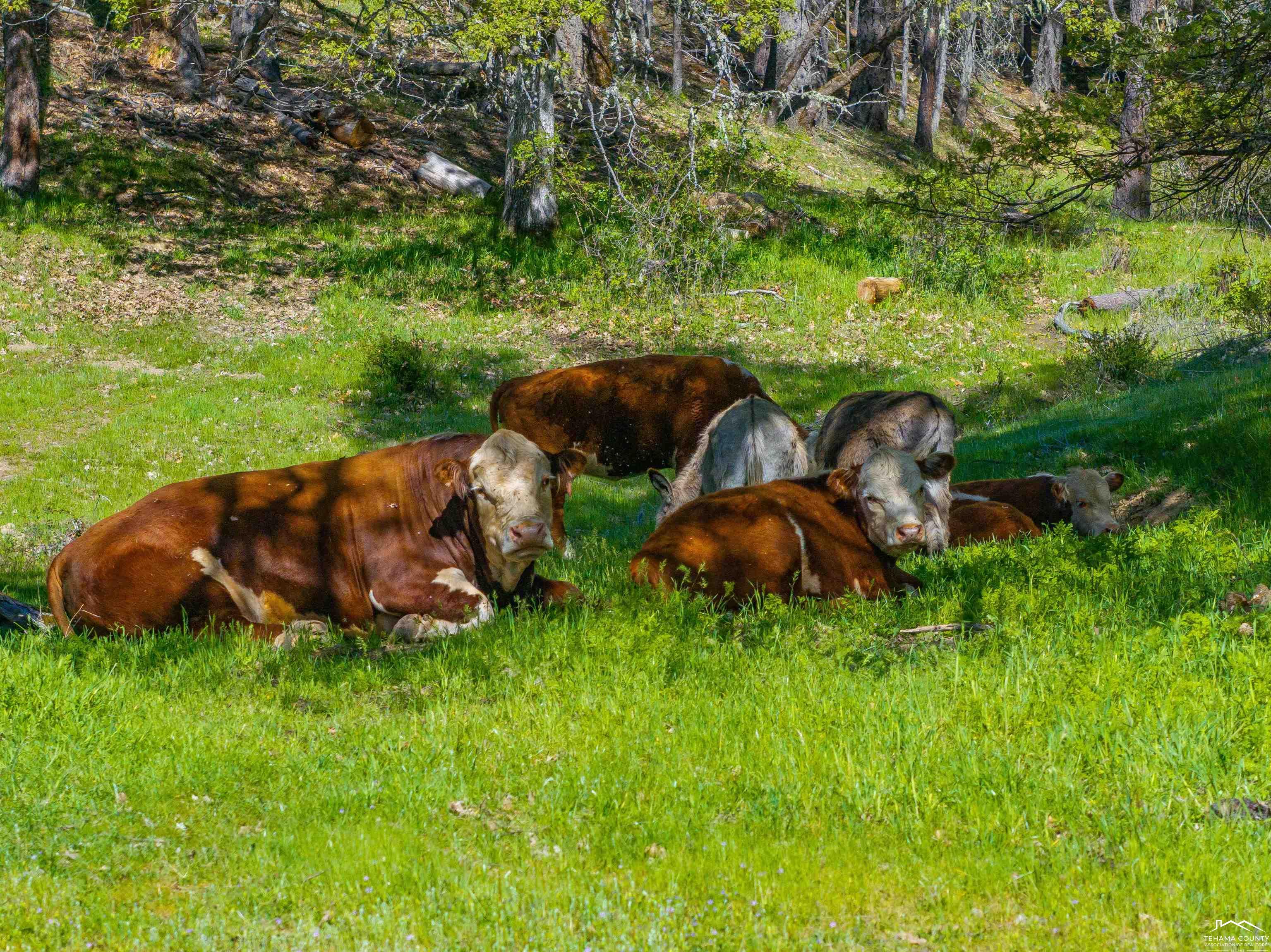 6790 Rush Creek Rd Unit: 6680 Rush Creek Road