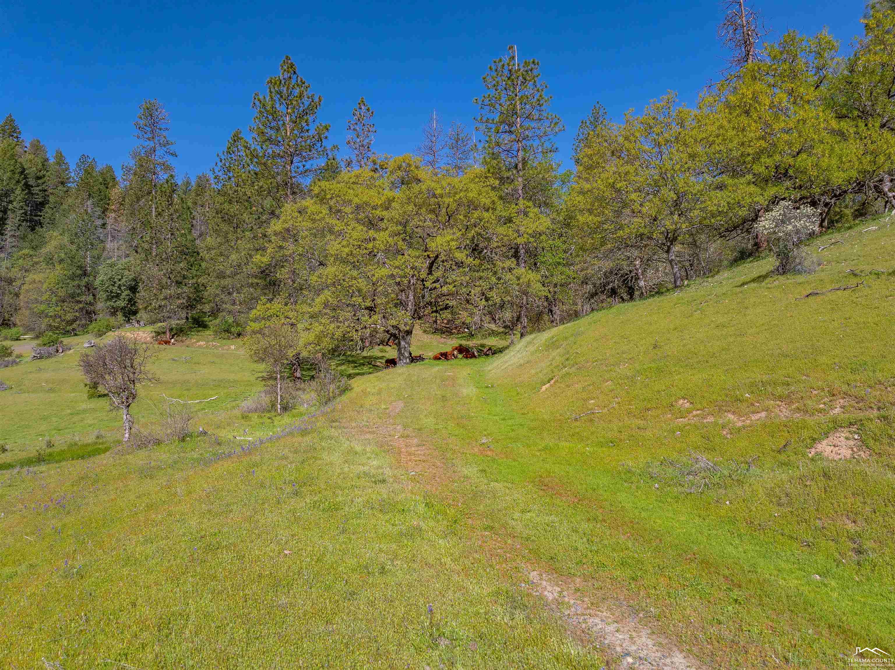 6790 Rush Creek Rd Unit: 6680 Rush Creek Road