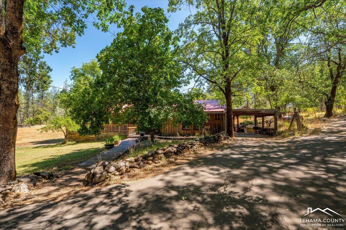 125 Old Orchard Road