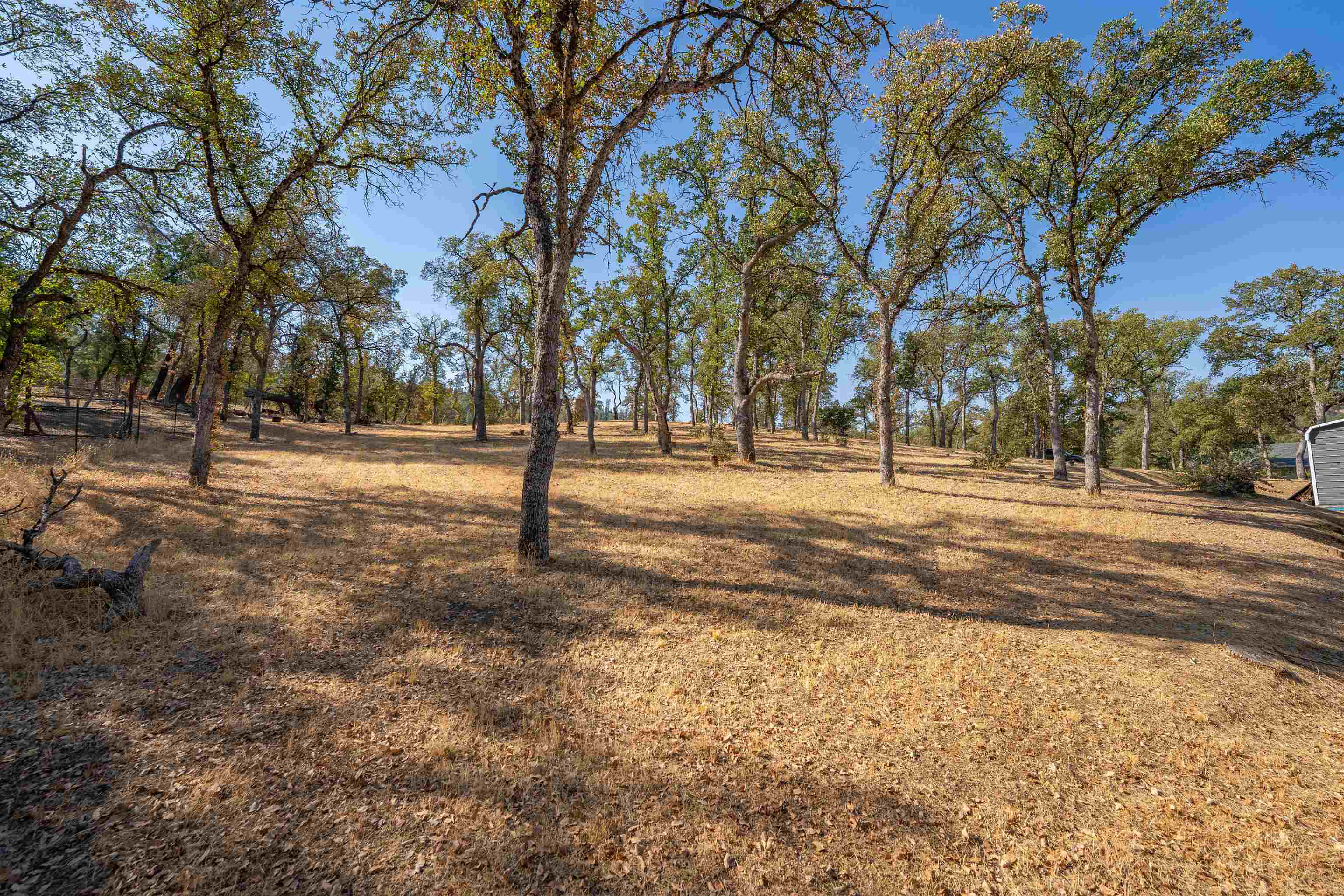 7234 Alpine Drive