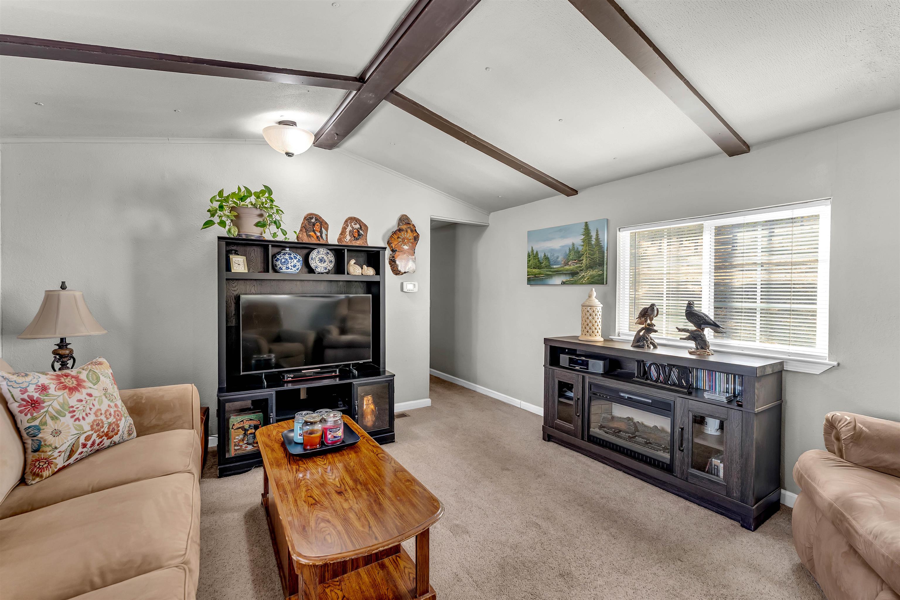 7234 Alpine Drive